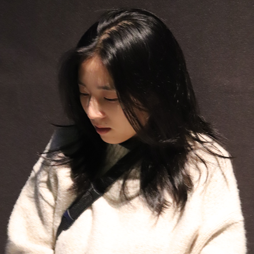 Yihong Leng